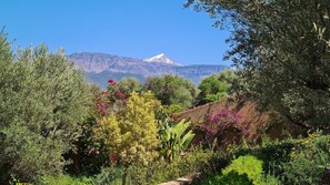 Property grounds - Luxury 3 BR Villa in Marrakesh with Private pool, Marrakesh Villa 1000 (Marrakesh)