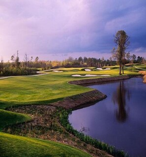 Golf - Luxurious Barefoot Landing Condo- Minutes from beach and golf  (North Myrtle Beach)