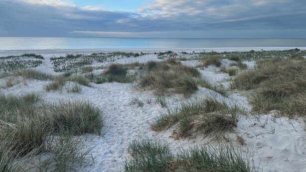 Una playa con dunas de arena y cielo despejado.