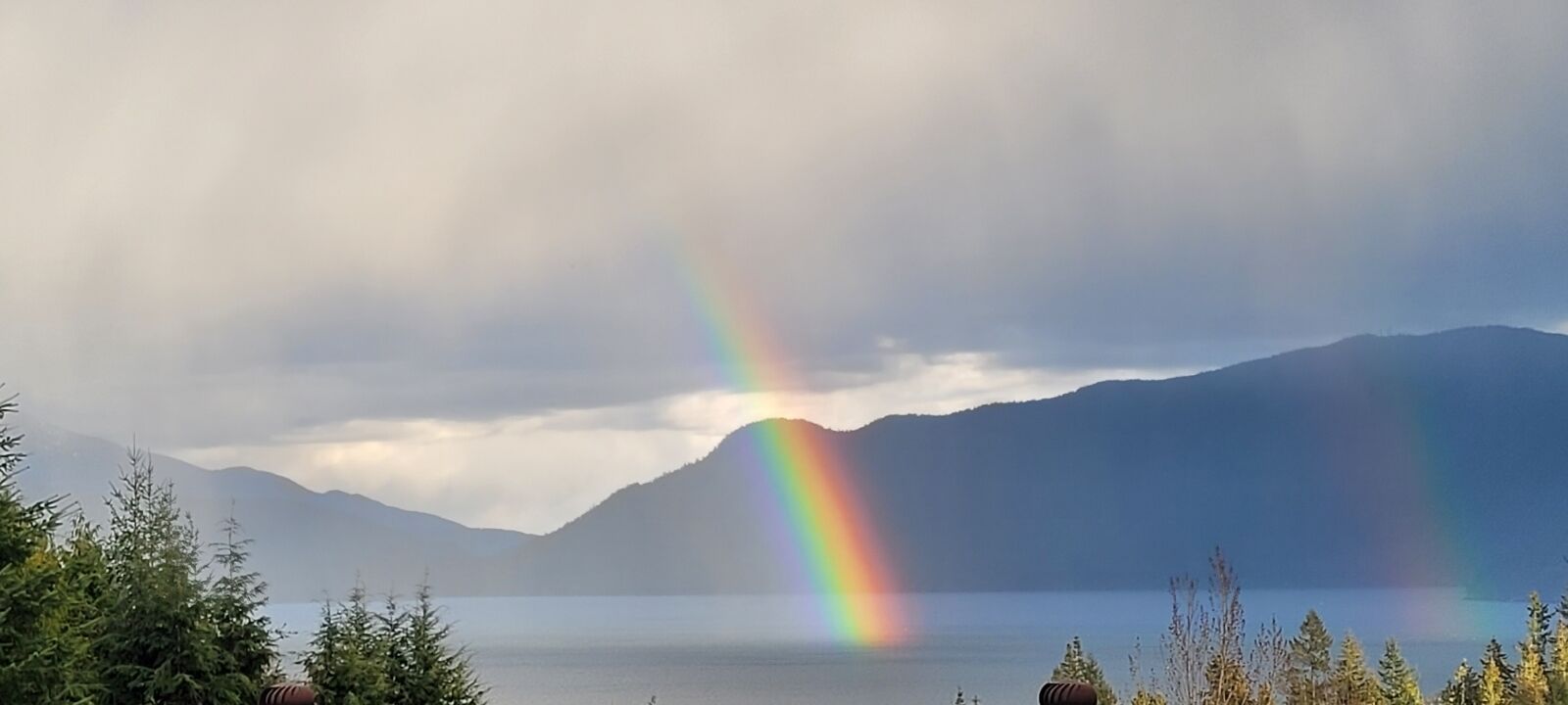 Cozy cabin in the woods minutes from ferry