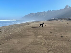 Strandhanddukar