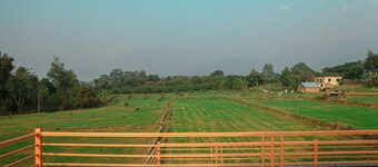 KK Jungle View Resort Jim Corbett