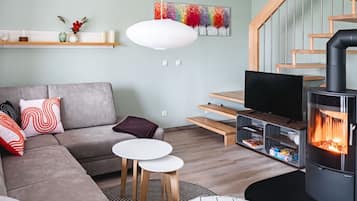 Télévision, cheminée, lecteur de DVD