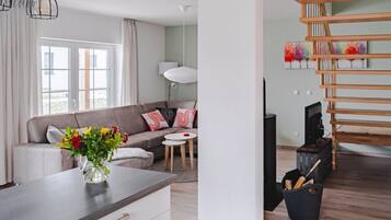 TV, fireplace, DVD player