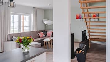 Télévision, cheminée, lecteur de DVD