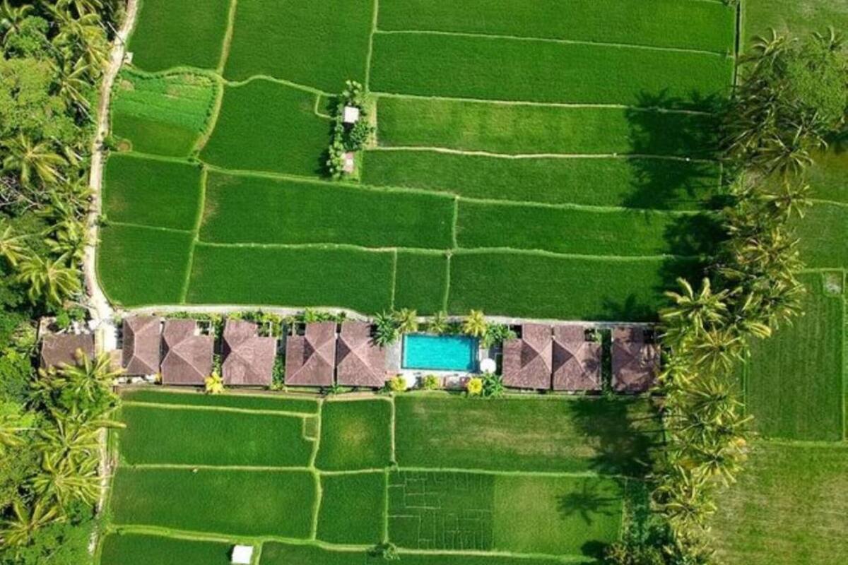 An aerial view of a resort with multiple bungalow-style accommodations arranged in a row, a central swimming pool, and surrounding lush green fields.