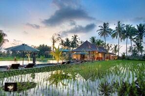 A resort with a pool, lounge chairs, umbrellas, and a house with a tiled roof. - Intan Villa & Suite Ubud (Tegallalang)