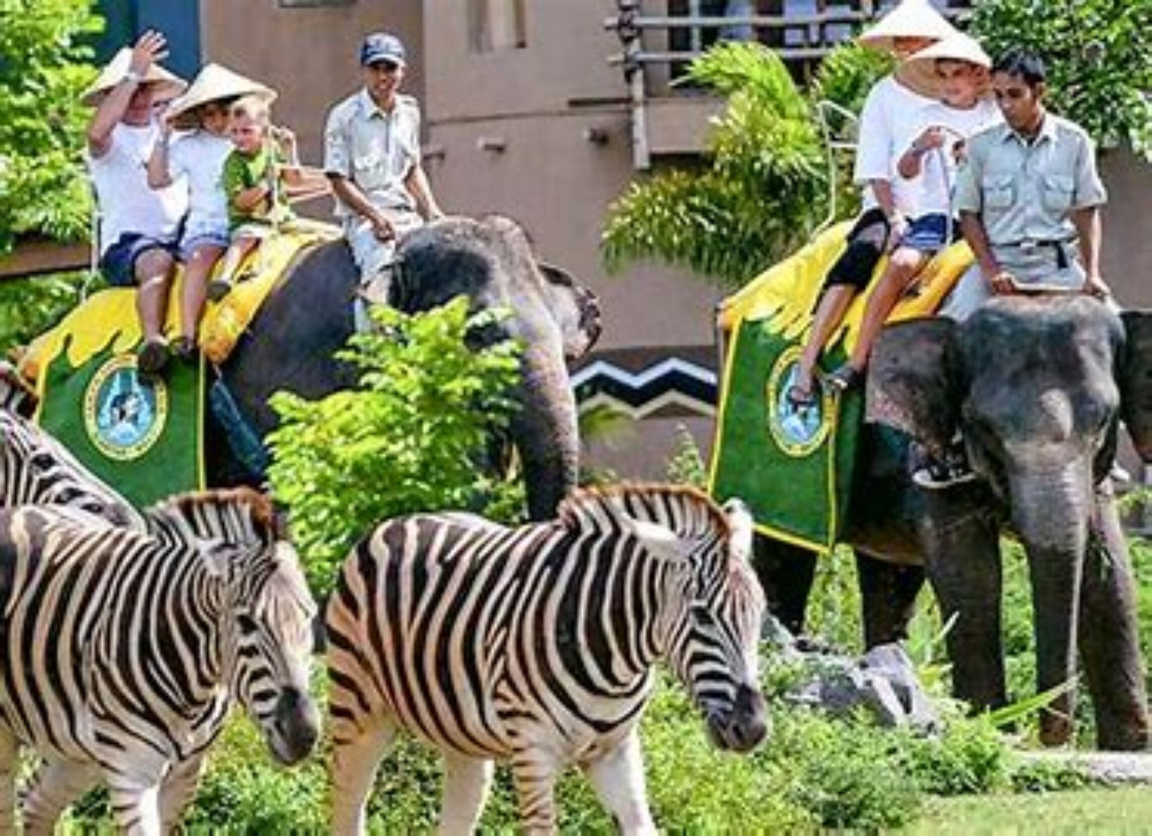 Photo - Intan Villa & Suite Ubud