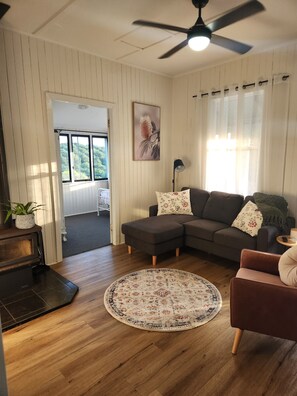 Smart TV, fireplace, books