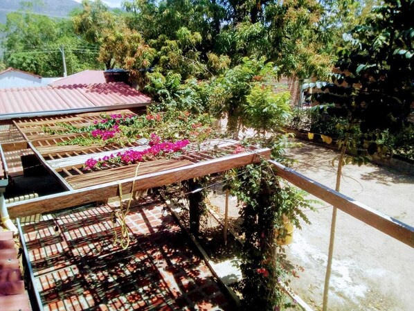 A balcony with a wooden trellis and potted plants.