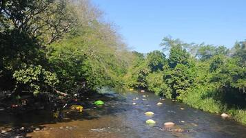 A river with rocks and greenery on both sides.
