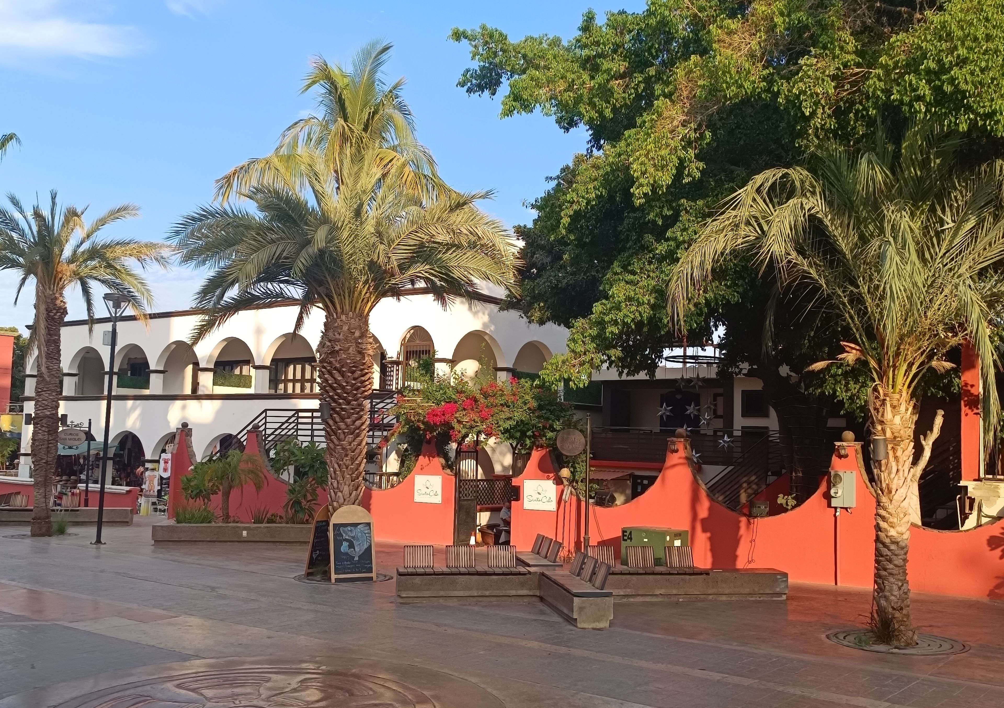 Un patio con palmeras, un edificio blanco con arcos y un muro rojo con un cartel.