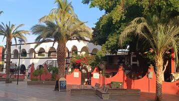 Un patio con palmeras, un edificio blanco con arcos y un muro rojo con un cartel.