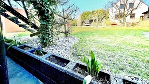 A garden with a stone planter bed, a small tree, and a grassy lawn. - 2 room apartment, comfortable, king size bed, TV (Hannover)