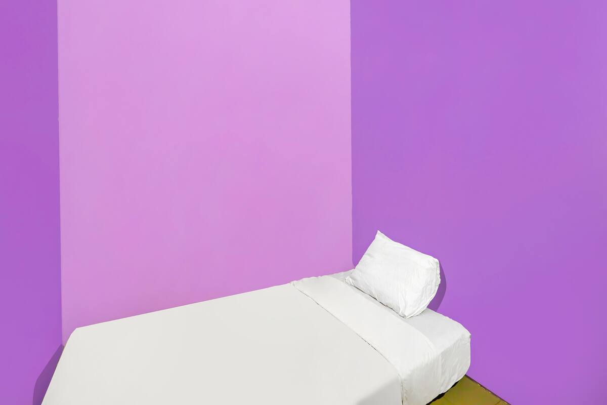 A single bed with white bedding in a room with purple walls.
