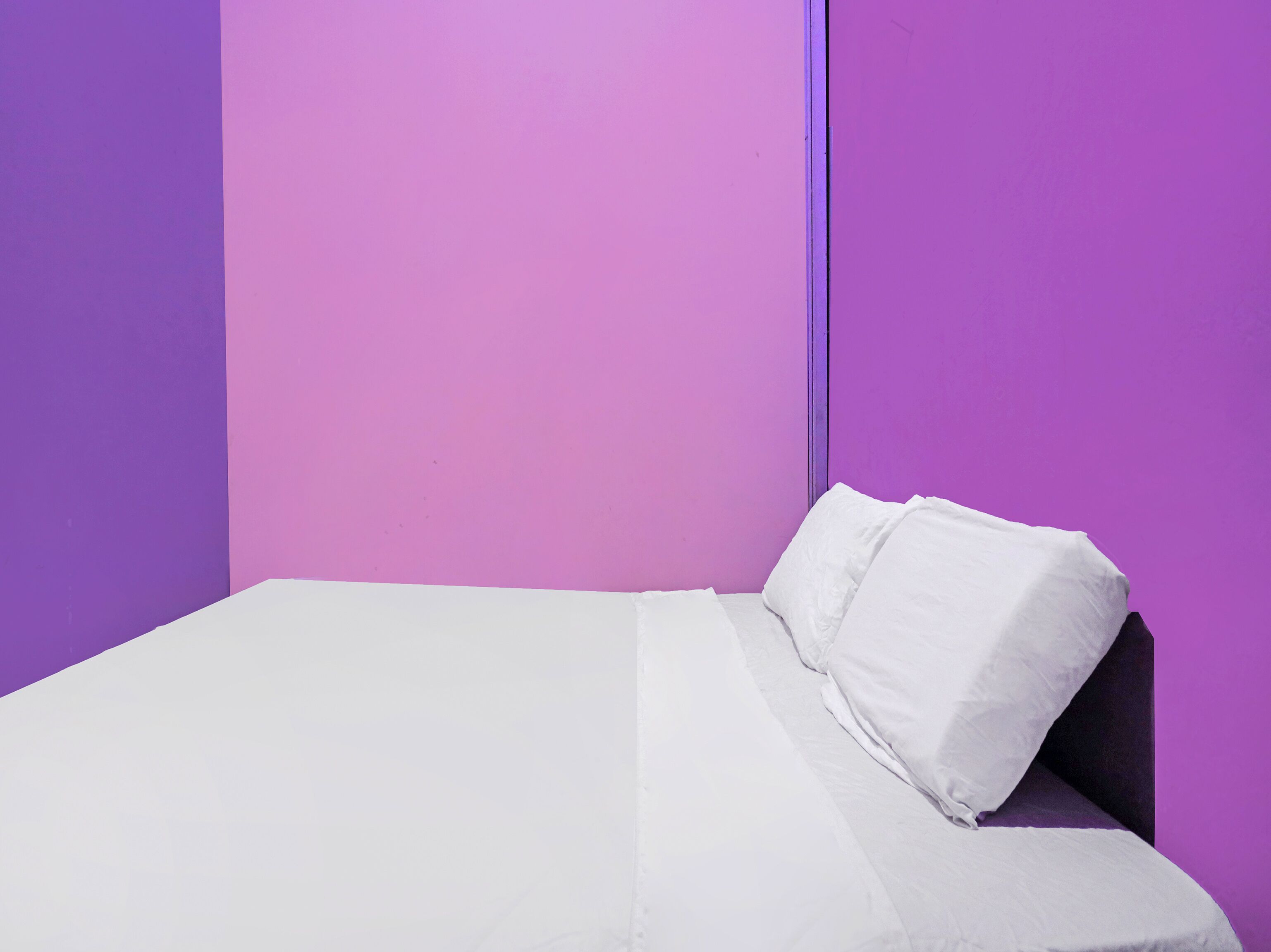 A single bed with white bedding in a room with purple walls.