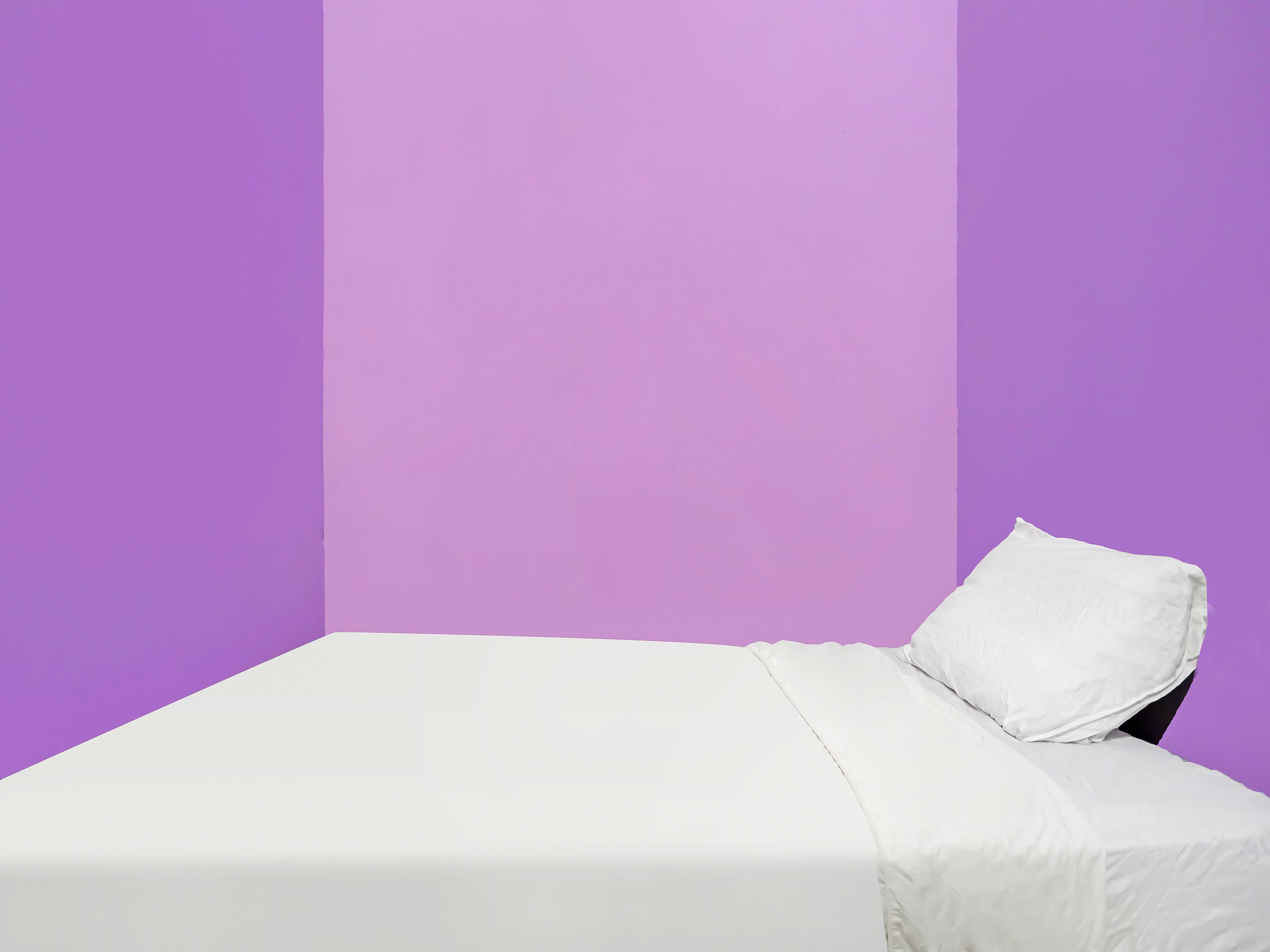 A bed with a white sheet and pillow in a room with purple walls.