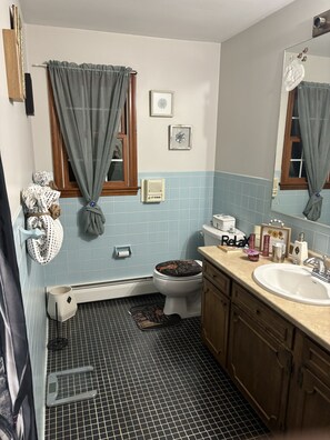 Secador de pelo, toallas, jabón, papel higiénico