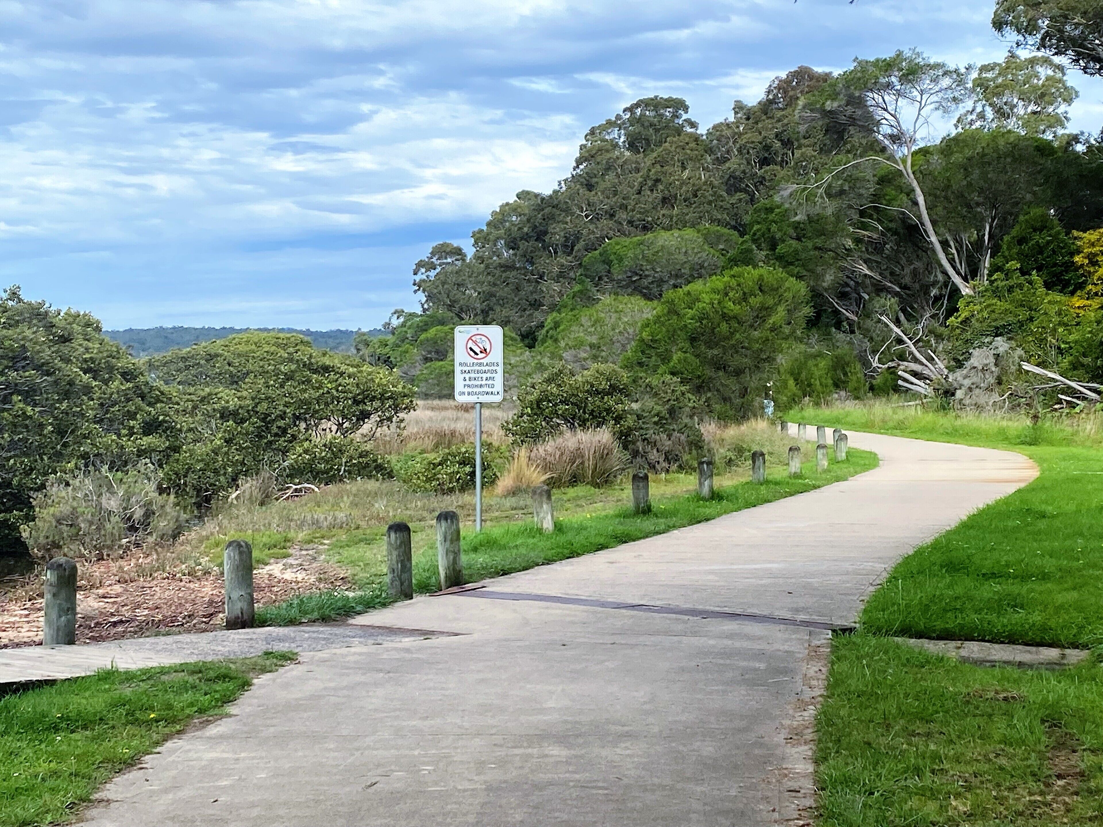 A paved pathway with a sign prohibiting rollerblades and skateboards.