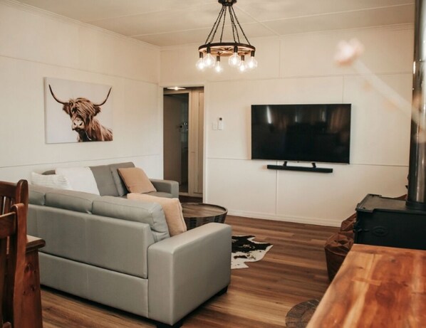 TV connectée, cheminée