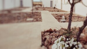 A pathway leading to a building with a minimalist design, surrounded by small trees and rocks. - MASSERIA TENUTA SOFIA (Otranto)