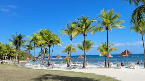 Ein Strand mit Palmen, Liegestühlen und Sonnenschirmen.