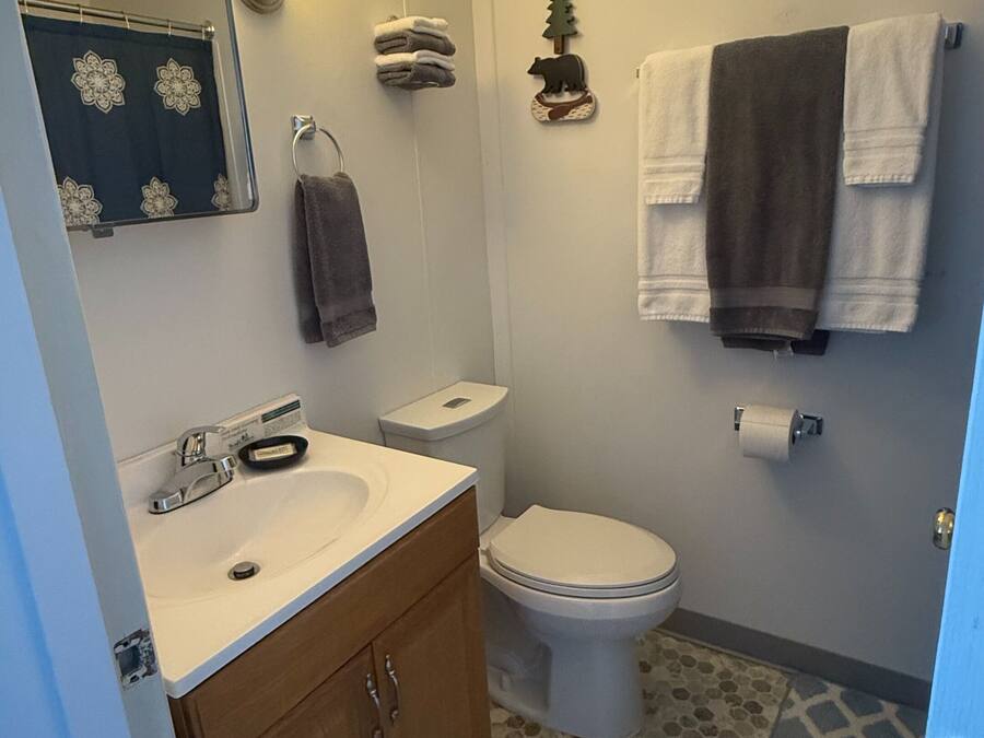 A bathroom with a white sink, wooden cabinets, a toilet, and a shower. There are towels and a toilet paper holder on the wall.
