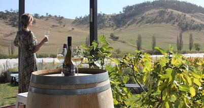 Ese vineyard cottage, family friendly 30mins from Hobart CBD