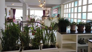 A spacious interior with a high ceiling, large windows, and multiple potted plants. - Treenz Lite (Gangtok)