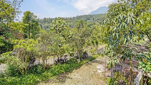 Un sendero pavimentado bordeado de abundante vegetación y árboles, que conduce hacia un telón de fondo montañoso.