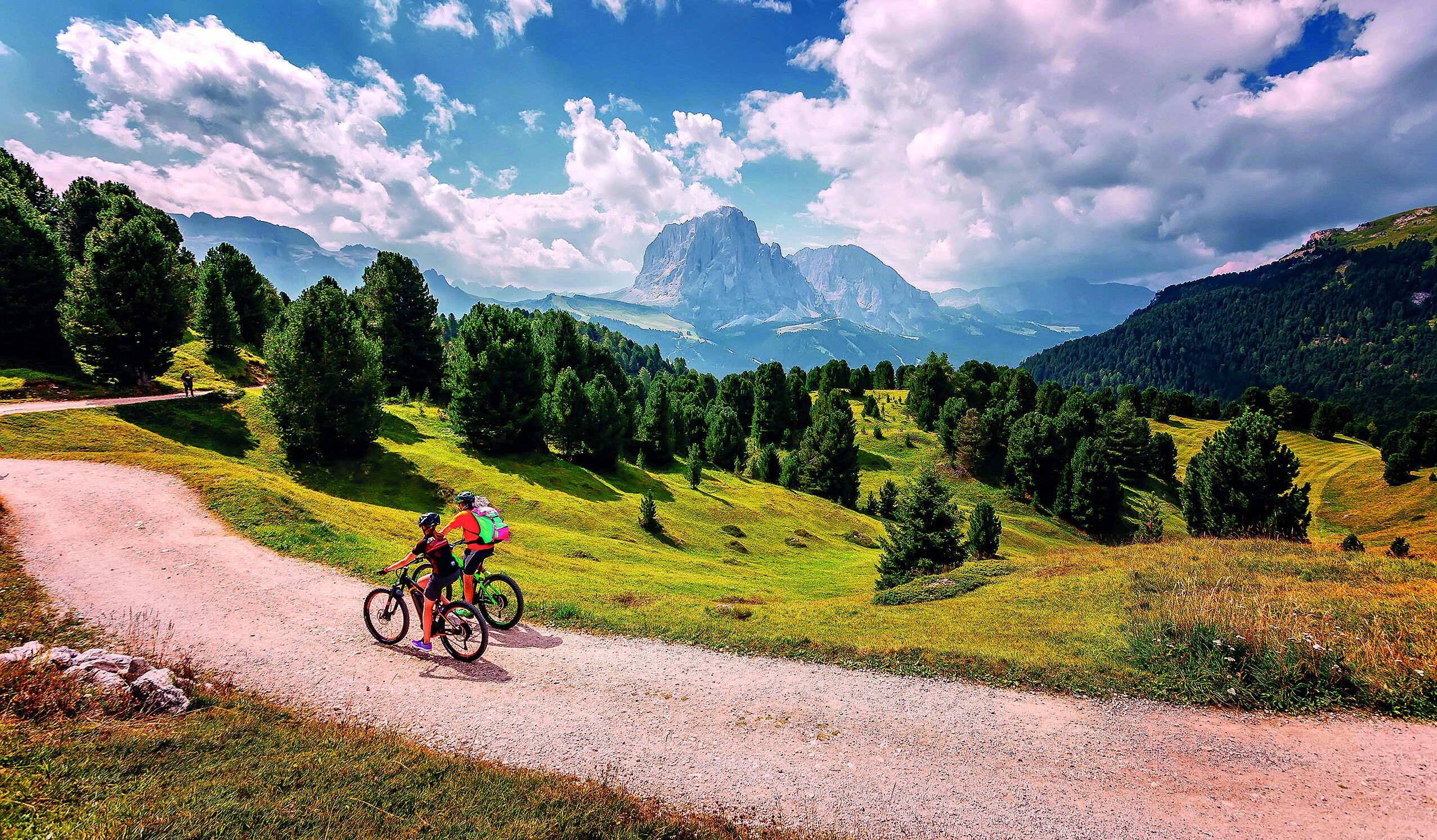 Un magnifique sentier de VTT qui serpente à travers une végétation luxuriante et offre une vue imprenable sur les montagnes lointaines.