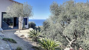 A modern villa with a view of the sea, surrounded by olive trees and a palm plant. - Villa panoramic sea view, heated pool, Monticello, 4 bedrooms (Monticello)
