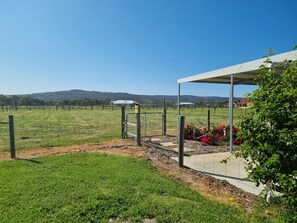 Un vignoble avec des rangées de vignes, un espace de repos abrité et une vue lointaine sur des collines.