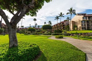 Une cour d’hôtel bien entretenue, avec des pelouses soignées, des palmiers et un chemin sinueux menant au bâtiment.