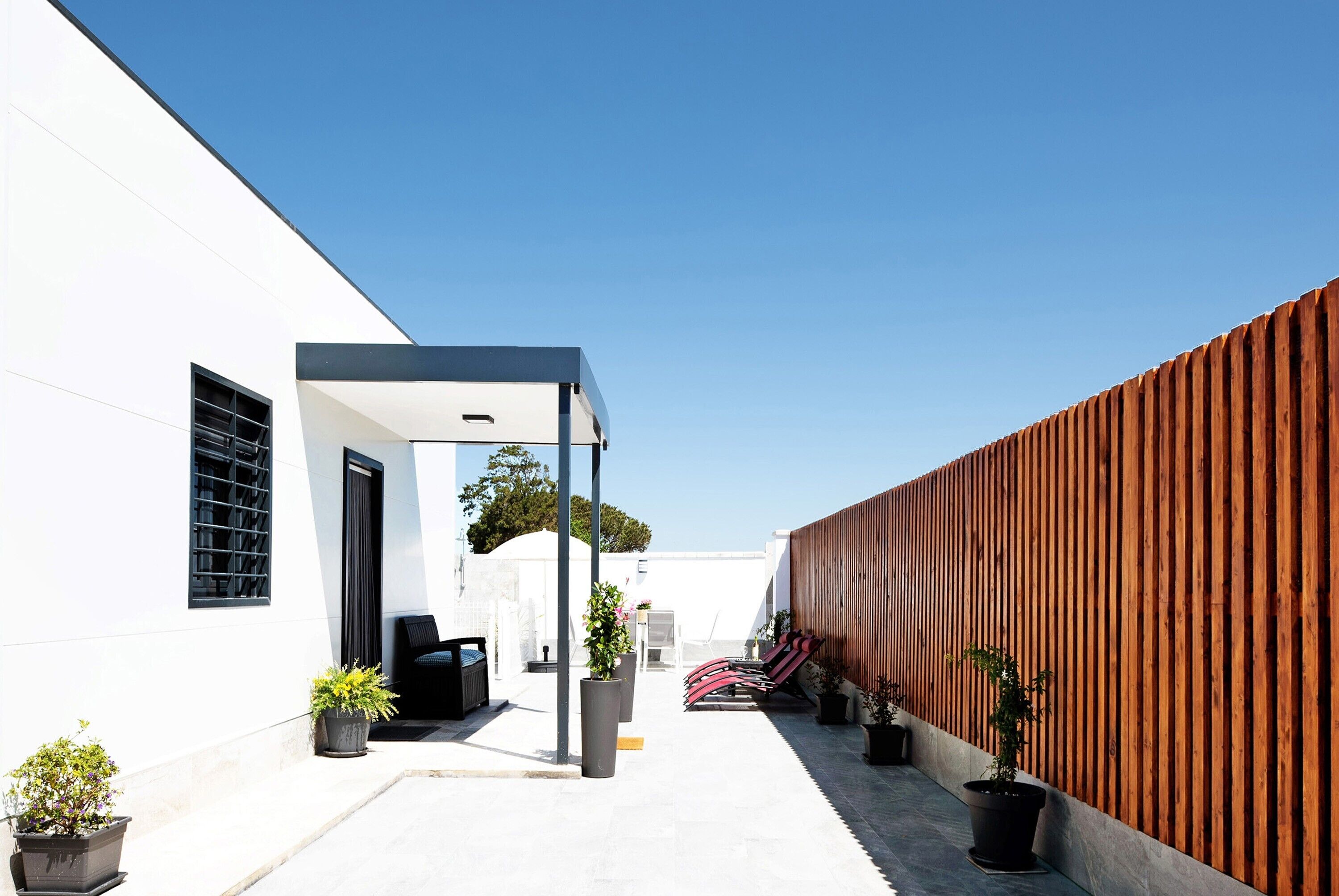 Un patio moderno al aire libre con un edificio blanco, una valla de madera y plantas en macetas.