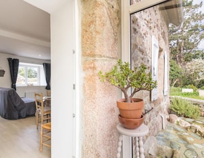 A room with a stone wall, a potted plant, a window, and a view of the outdoors.