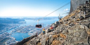 Experience the scenic aerial views of the city and river below from our cable car system.