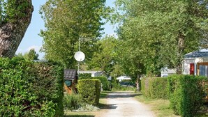 Een landweg langs strakke hagen en bomen, die leidt naar een rij huizen met zichtbare schotels.