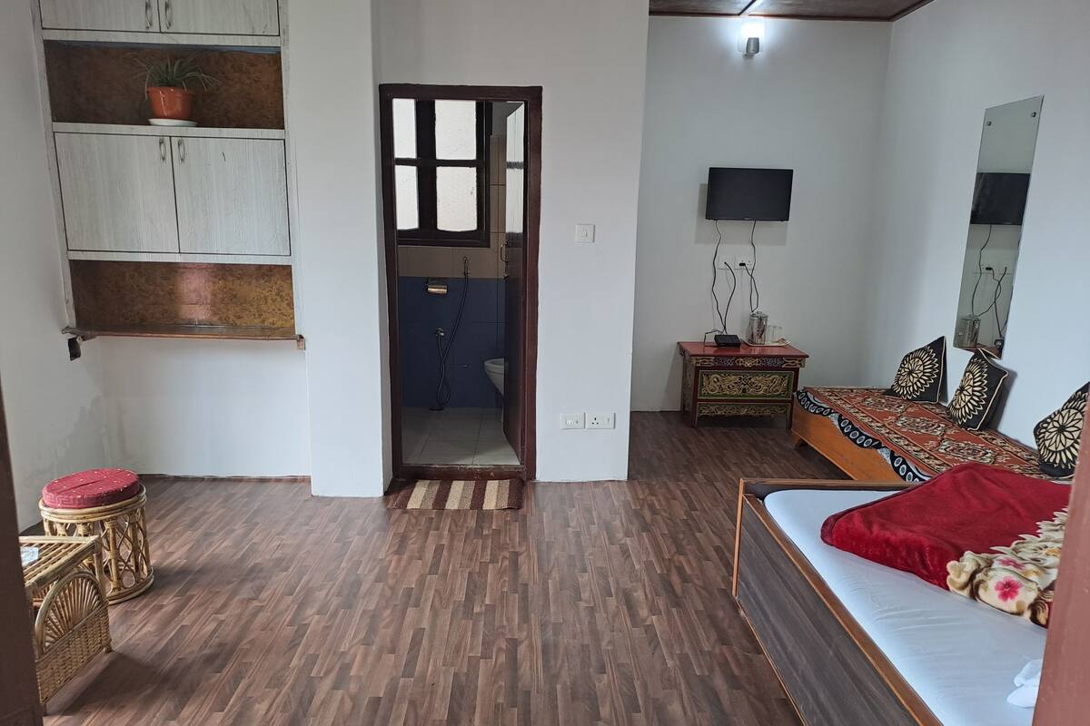 A bedroom with a wooden floor, a bed with a red blanket, a TV, a mirror, a small table with a plant, and a door leading to a bathroom.