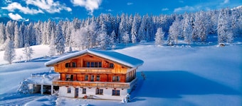 Chalet Apartment Obermanzl