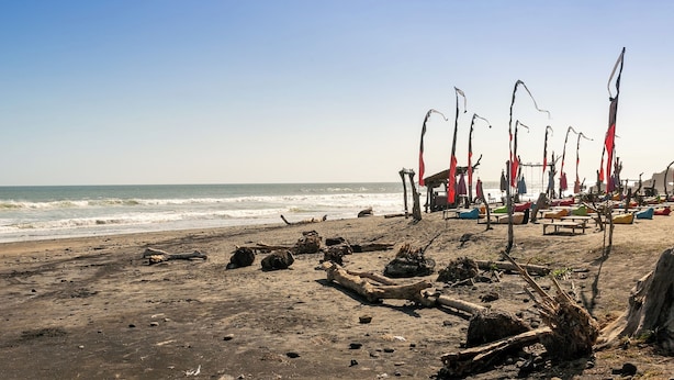 A beach with driftwood and fishing rods, a sandy shore, and a calm sea. - Jero Harum Homestay (Tabanan)