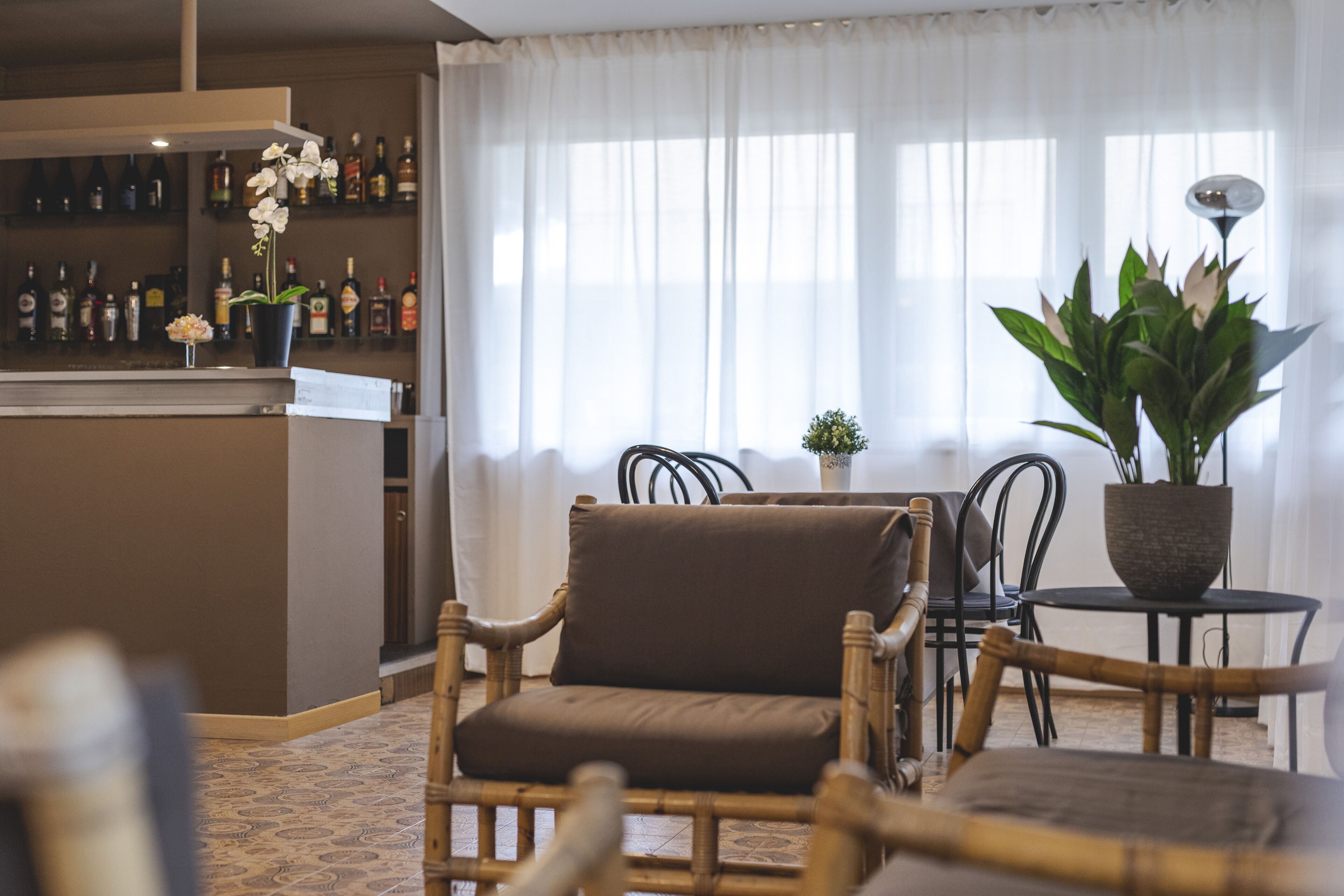 A hotel room with a bar area, a seating area with a brown chair and a table, and a large potted plant.