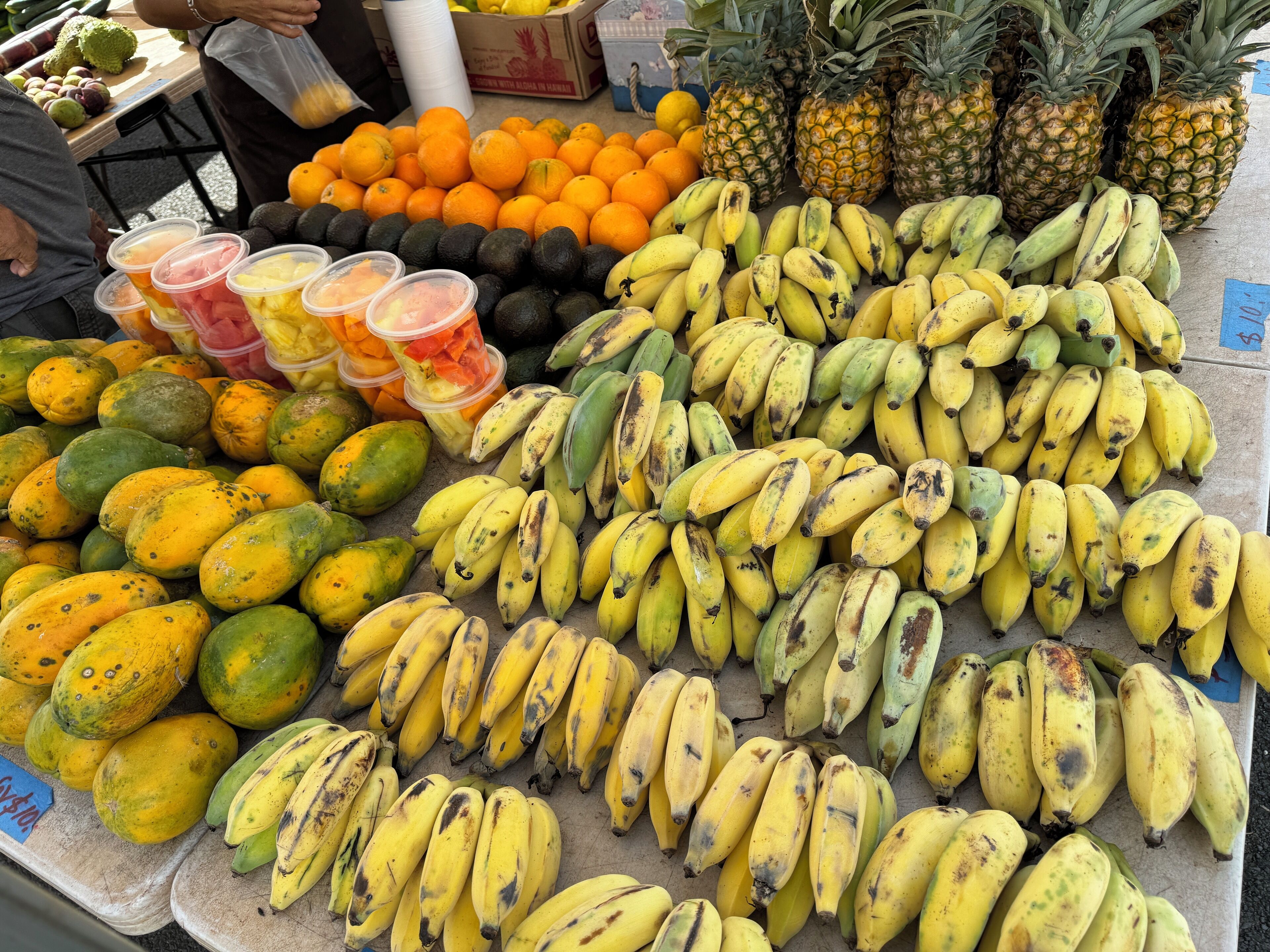 Browse fresh local produce, handmade goods, and tropical flowers at the Farmers Market in Coconut Marketplace every Tuesday and Thursday, 9 AM - 1 PM.