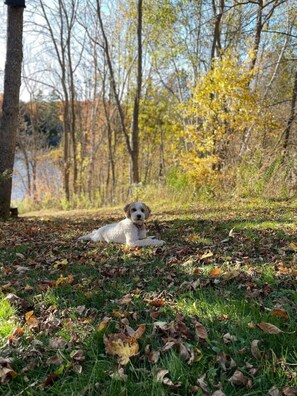 المنطقة المحيطة بالمنشأة