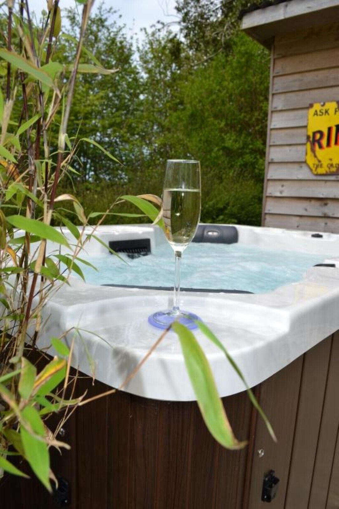 A hot tub with a glass of water on top, surrounded by greenery.