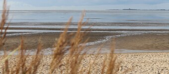 Steffis-strand-schule Cuxhaven Wohnung Krabbe
