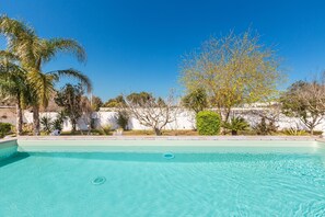 A clear blue swimming pool surrounded by palm trees and a white wall.