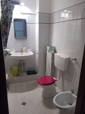 Dusche, Haartrockner, Bidet, Handtücher