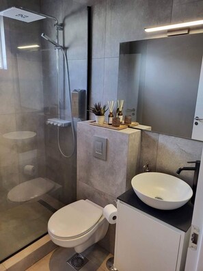 Deluxe Apartment | Bathroom | Free toiletries, hair dryer, towels, soap