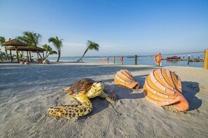 Beach - Seaside living luxury apartment at danga bay with nice beach (Johor Bahru)